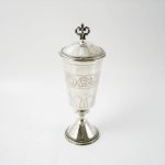 471 7667 Pokal